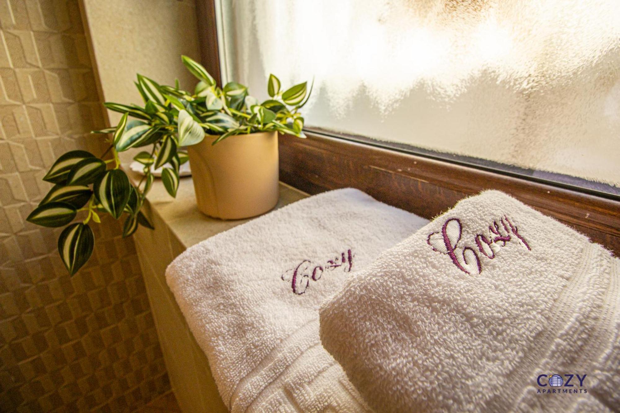 Cozy Brand New Boutique Aparthotel Брашов Екстер'єр фото